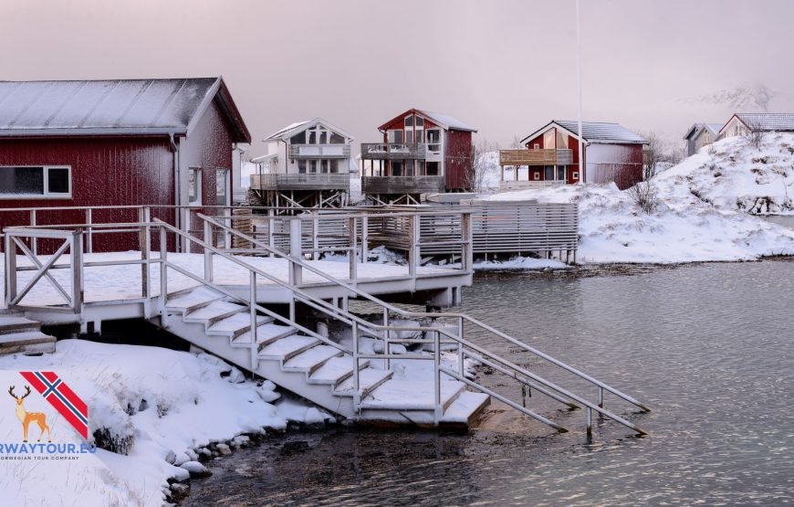 11 days Norway northern lights tour